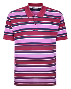 Bigdude Striped Polo Shirt Cassis